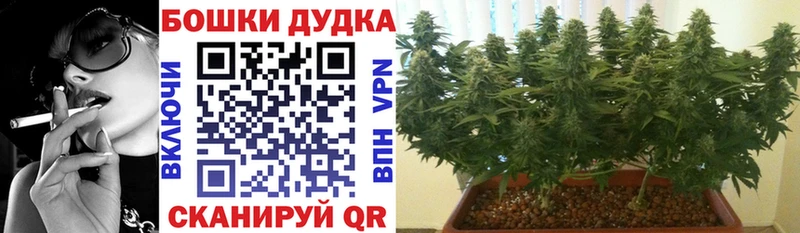 Канабис гибрид Энгельс